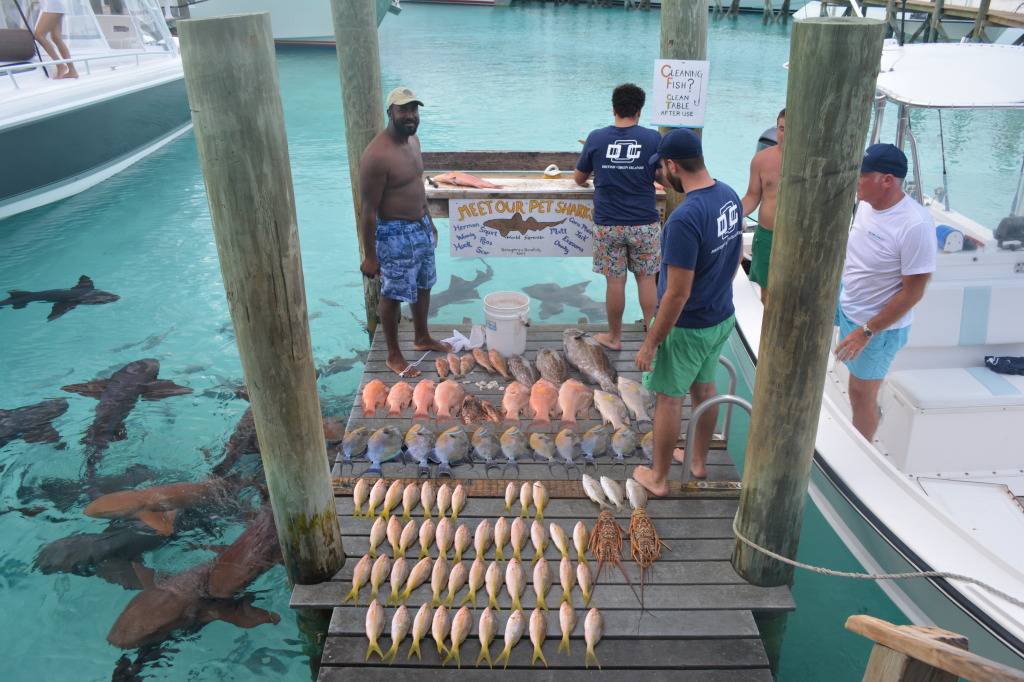 Compass Cay Marina